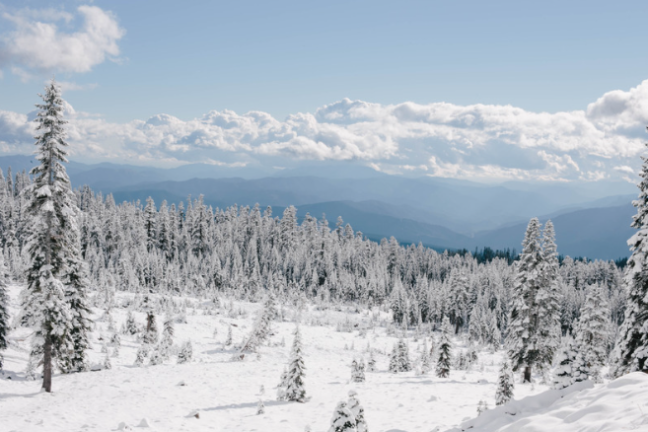 a man riding on top of a snow covered mountain