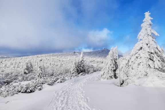 a snow covered mountain