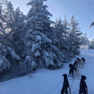 a group of people cross country skiing in the snow