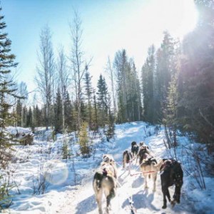 a group of people cross country skiing in the snow