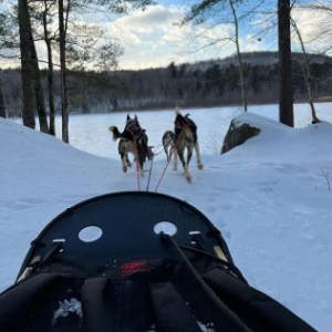 a group of people that are standing in the snow
