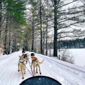 a group of people riding horses on a trail in the snow