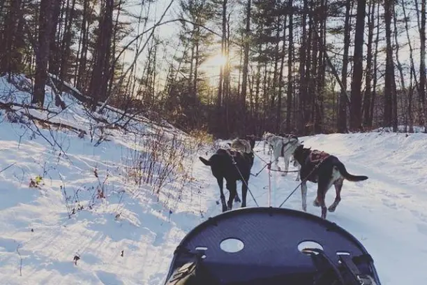 a person that is standing in the snow