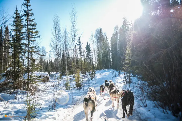 a group of people cross country skiing in the snow