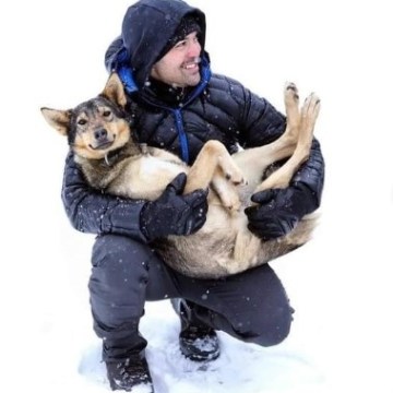 a dog wearing a costume