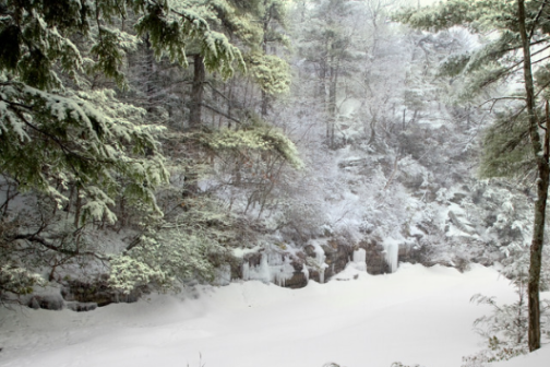 a man is cross country skiing in the snow