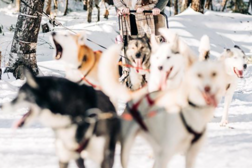 a group of people walking in the snow