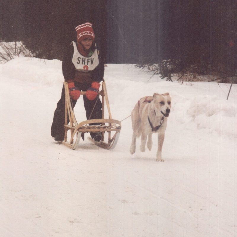 a person riding a horse in the snow