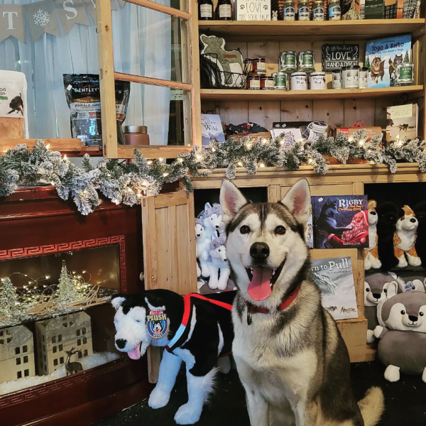 a dog sitting in front of a store
