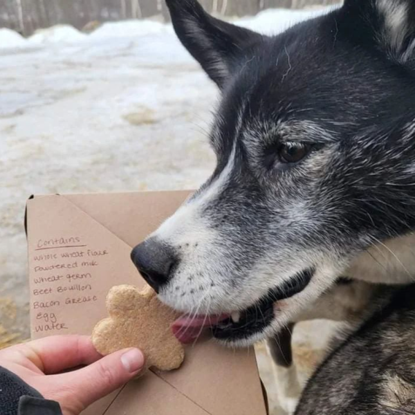 a person holding a dog