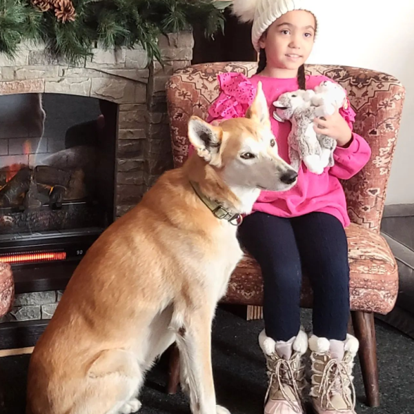 a little girl standing next to a dog