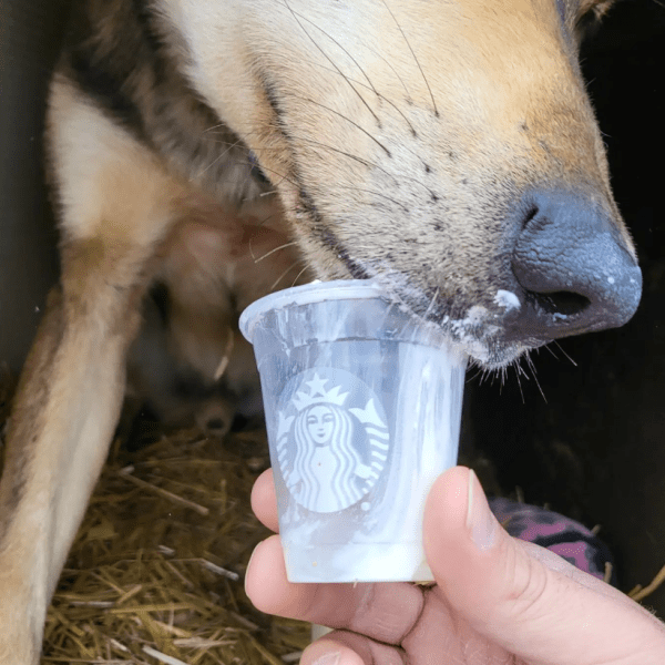 a person holding a dog drinking from a bottle