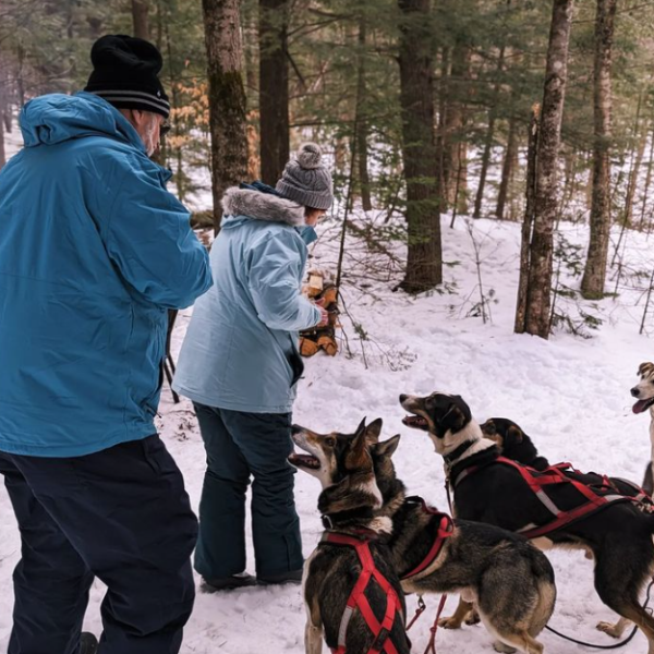 a man and a dog are walking in the snow