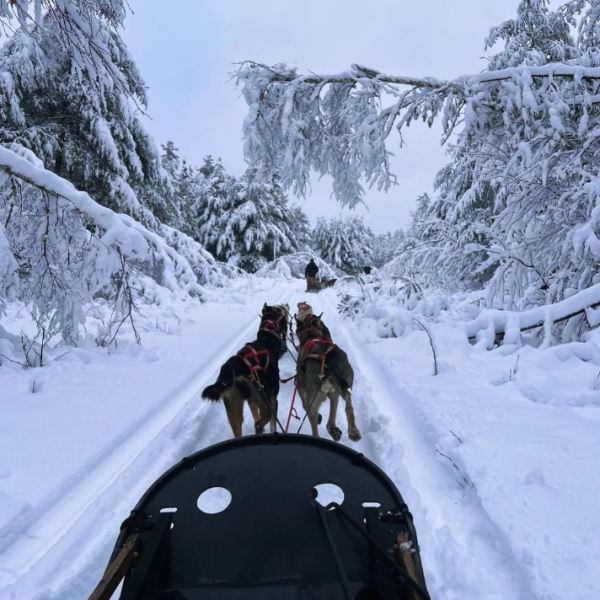 a group of people that are standing in the snow