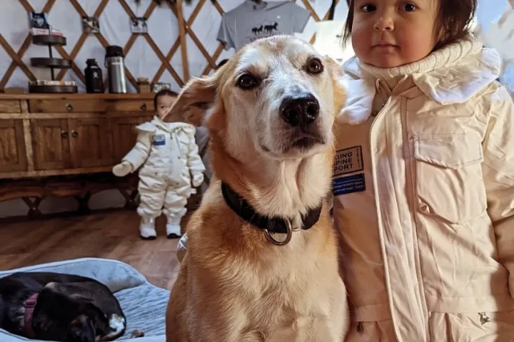 Child in winter coat with dog in yurt, another child and sleeping dog in background.
