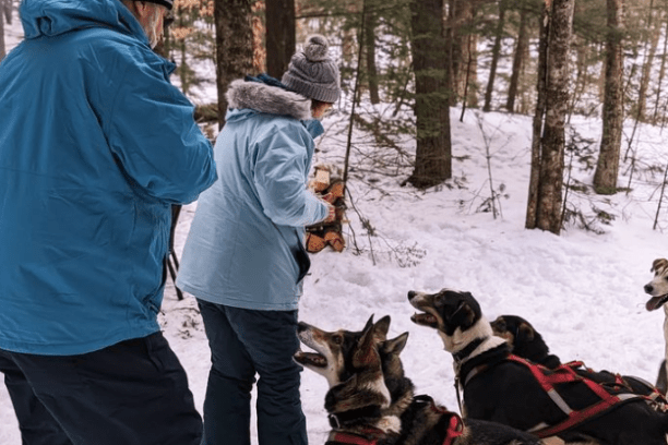 Two people in winter clothing with sled dogs in a snowy forest.